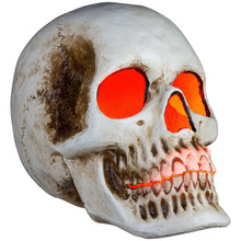 Load image into Gallery viewer, 20” Blow Mold Lighted Decor-Candle Flicker-Natural Bone Skull