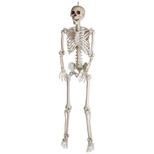 Load image into Gallery viewer, Gemmy 5ft Bone Skeleton w/Open Mouth