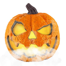 Load image into Gallery viewer, Misting Pumpkin
